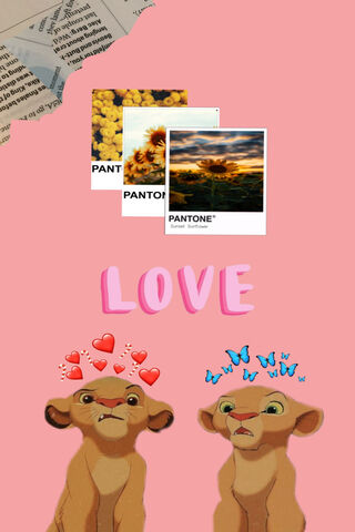 Love in Color 🌸✨