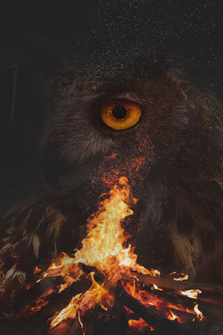 Ates: The Fire Within the Owl 🔥🦉