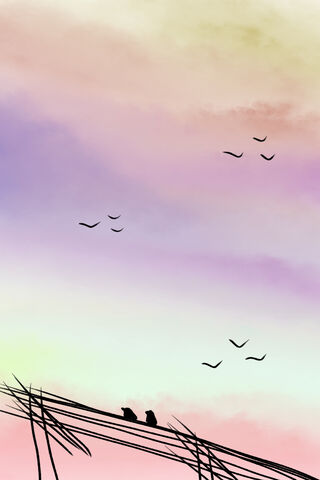 Twilight Serenade: Birds on a Wire 🎶🐦