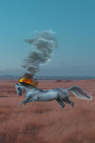 Fiery Gallop: The Myth of the Burning Horse