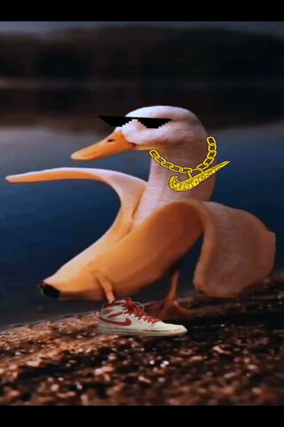 Banna Duck Meme
