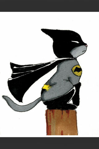 BatMan BatCat