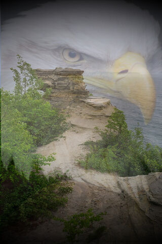 Majestic Soar: Yooper Spirit