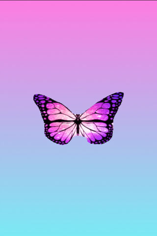 Whimsical Wings: The Butterfly Dream