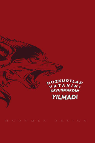 BOZKURT