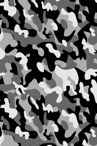 Shades of Stealth: The Art of Camouflage 🖤🤍