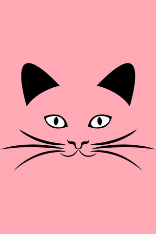 Purrfectly Simple: A Minimalist Cat Design 🐾