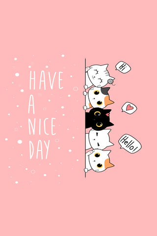 Purrfect Day Wishes! 🐾✨