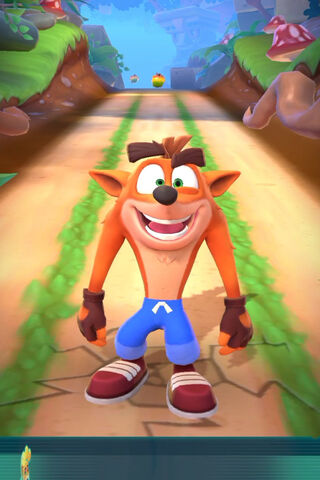 Crash into Adventure! 🐾🎮