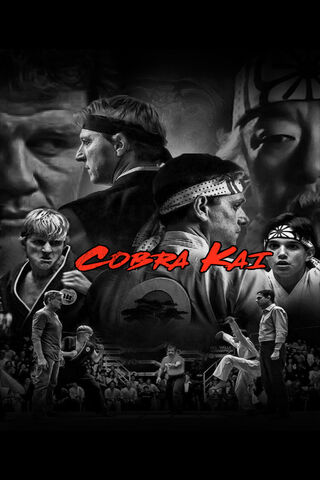 The Spirit of Cobra Kai: A Legacy of Rivalry 🥋🔥