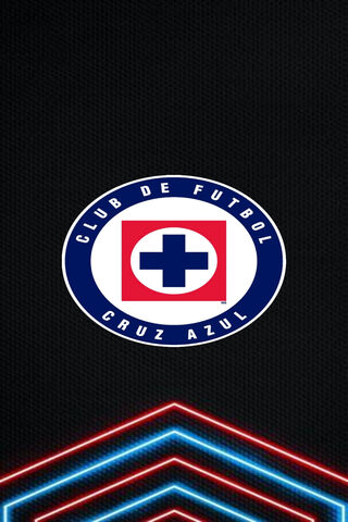 Adorable Feline Fun 🐾