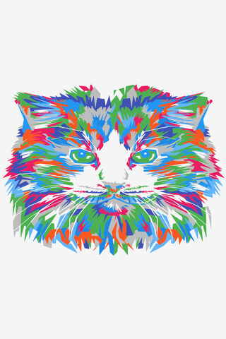 Colorful Cat