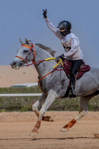Victory Ride: The Spirit of Course Chevaux 🐎✌️
