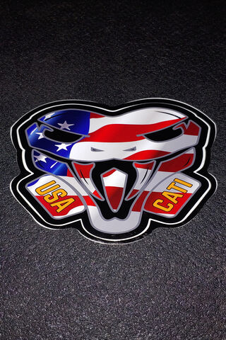 Cati Body Armor: Strength and Style 🇺🇸💪