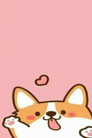 Corgi Cuteness Overload! 🐾❤️