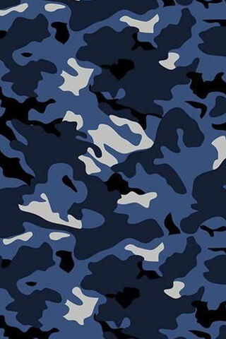 Shades of Stealth: The Art of Camouflage 🎨