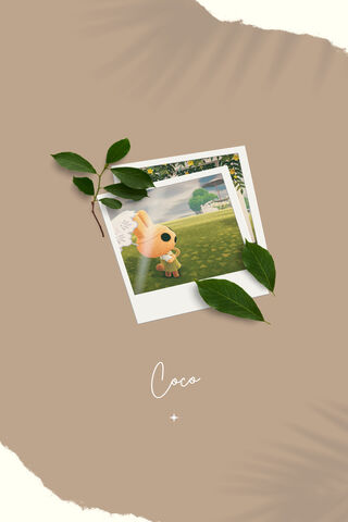 Coco