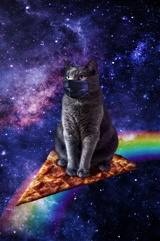 Cosmic Cat on a Pizza Adventure 🍕✨
