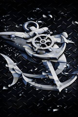 Nautical Vibes: The Cool Shark