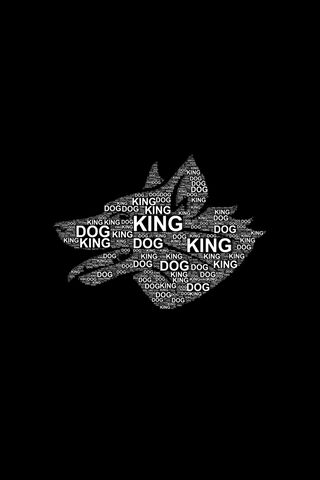 Dog King Paper