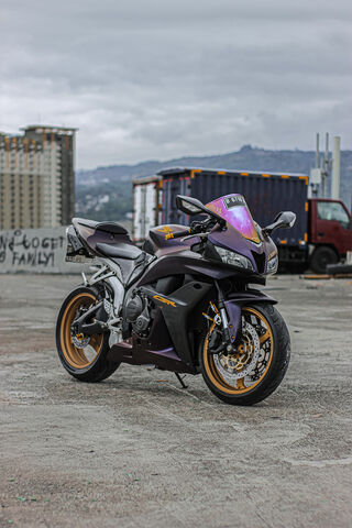 The Dual Nature of Speed: Double Minded Wolf