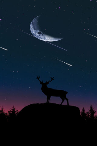 Moonlit Majesty: The Deer Hunter's Night