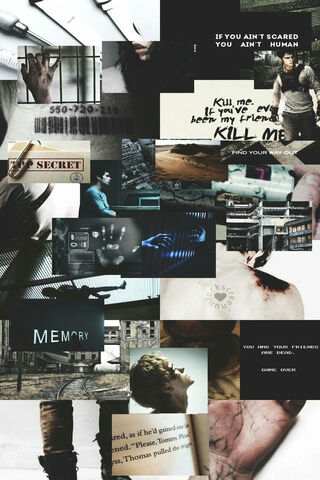 The Intriguing World of Dylan O'Brien