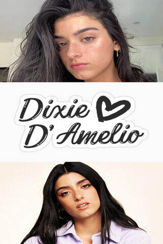Dixie D'Amelio: A Rising Star 🌟
