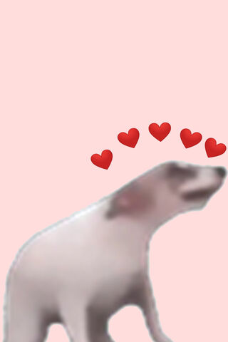Groovin' Pooch: The Heartfelt Dance! 🐶❤️