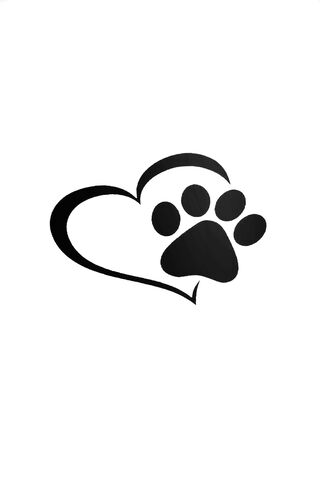 Paw-sitive Love: A Heartfelt Tribute to Our Furry Friends ❤️🐾