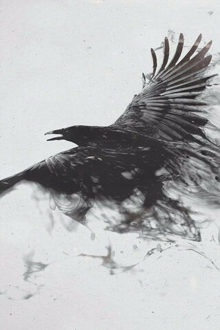 Eagle's Flight: A Dance of Shadows 🦅✨