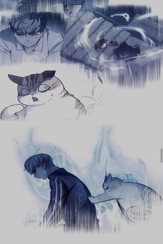 Whiskers of Destiny: The Eleceed Chronicles 🐾✨