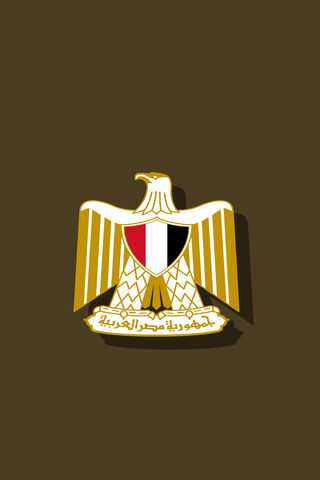 Majestic Symbol of Egypt: The Eagle Emblem 🦅🇪🇬