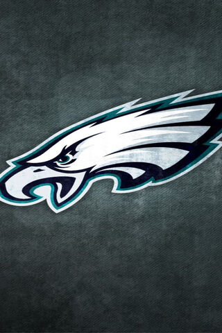 Soaring High: The Spirit of the Eagles 🦅