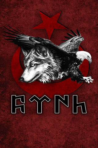 Eagle Wolf: The Spirit of the Wild