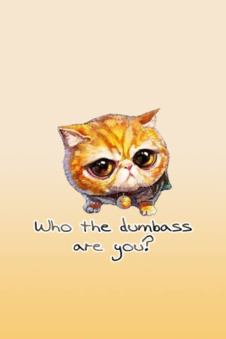 Chubby Cheeks and Cheeky Thoughts! 😸