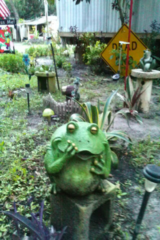 The Chubby Charm of Fat Frog 🐸✨