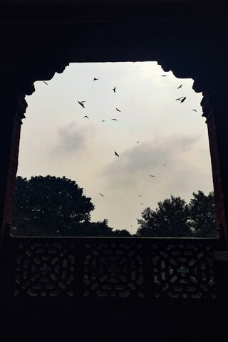 Soaring Spirits: A Dance in the Sky 🕊️✨