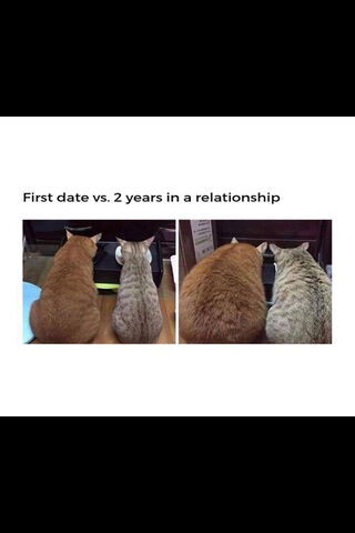 From First Date to Furry Companions 🐾❤️