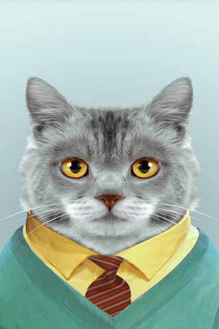 Dapper Kitty: The Purr-fect Gentlecat 🐱✨