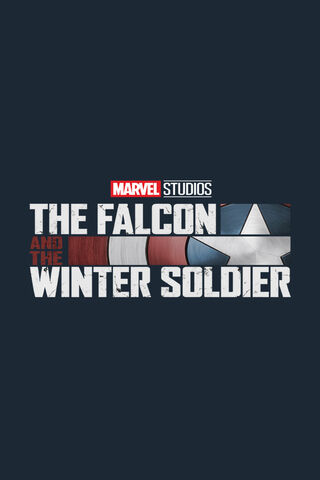 Falcon And Soldier