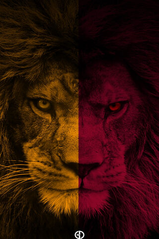 The Roar of Galatasaray 🦁❤️💛