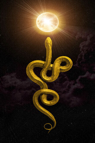 Lunar Embrace of the Golden Serpent 🌙🐍