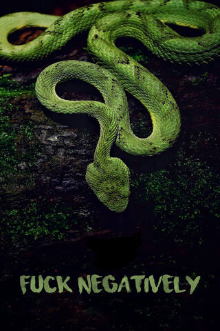 Emerald Enigma: The Green Snake