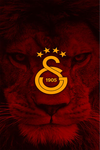 GALATASARAY - ASLAN