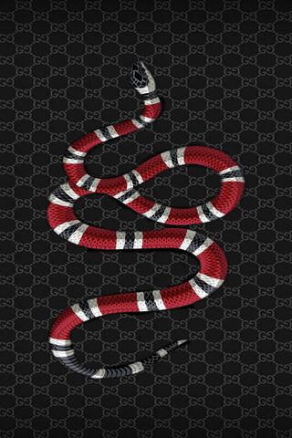 Gucci Snake