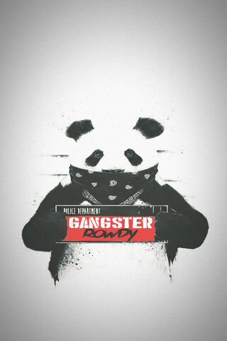 Panda with Attitude: The Gangster Vibe 🐼💥