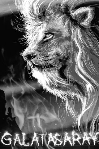 The Roaring Spirit of Galatasaray 🦁🔥