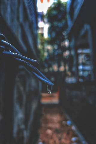 Whispers of Hope 🌿✨