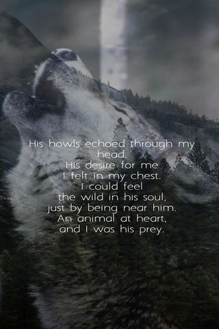 Echoes of the Wild 🌌🐺